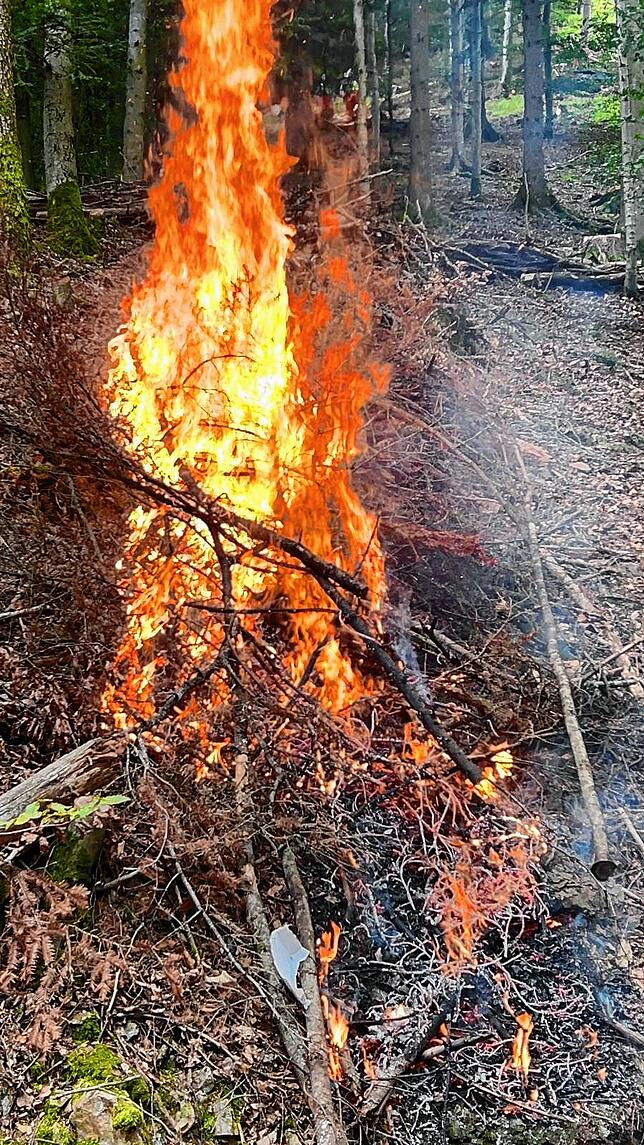 Bild 7: Loderne Flammen im Wald! Wie sich die Feuerwehr auf den Klimawandel vorbereitet