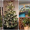 So schön und kreativ sind die Weihnachtsbäume unserer Leser in der Region. Eine kleine Auswahl.