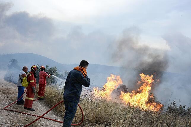 Feuerwehrmänner bekämpfen einen Flächenbrand nordöstlich von Athen.