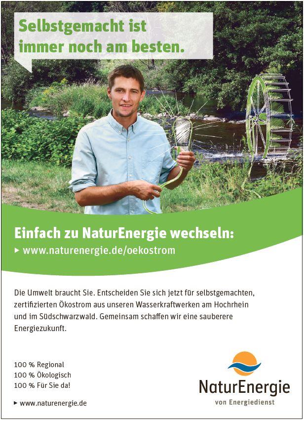Bild 2: Bauen und Wohnen in St. Blasien, Häusern, Ibach und Bernau