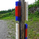 Auf den Trails gibt es Bürsten und Schlecksteine, die die Tiere nach Lust und Laune nutzen können.