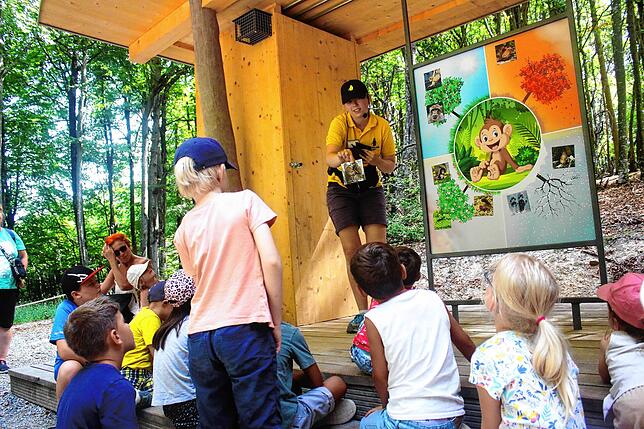 Kindgerecht aufgearbeitet sind die moderierten Spiele im Pavillon mitten im Affen-Gehege, wo der Nachwuchs jede Menge über Berberaffen ...