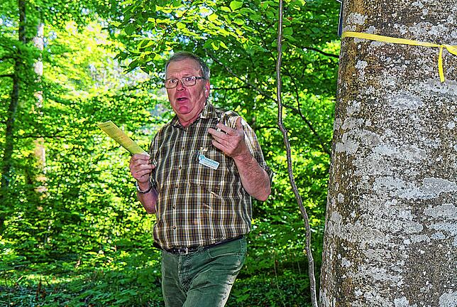 Förster Wolfgang Hafner führte die kleine Gruppe durch den Ruhewald beim Meßkircher Stadtteil Heudorf. Das gelbe Band kennzeichnet einen ...