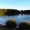 Das Freibad am Steißlinger See, hier ein Archivbild: In diesem Gewässer geht es rasch tief ins Wasser, während der Bodensee eine ...