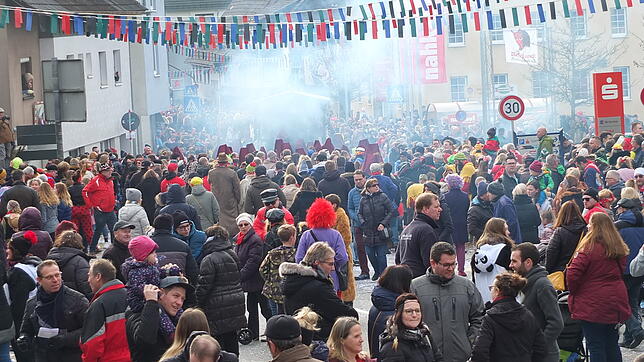 Bild : Bilder vom großen närrischen Umzug der Narrenvereinigung Niedereschach