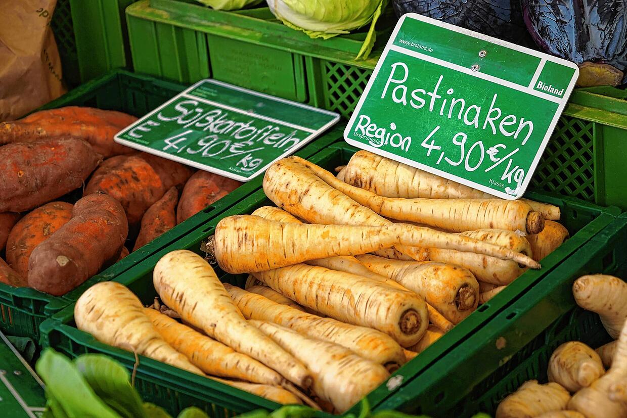 sind In Gemüsesorten Pastinake, | SÜDKURIER und Alte Kartoffeln lila Stängelkohl: