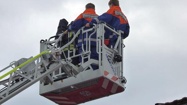 Wenn zur Rettung einer Katze die Feuerwehr anrückt, muss der Tierhalter künftig etwas mehr zahlen.