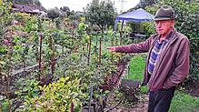 Fachberater Adolf Bausch in seiner Kleingarten-Parzelle in Donaueschingen. Die Sommer-Saison ist vorbei und ehe es auf der ...