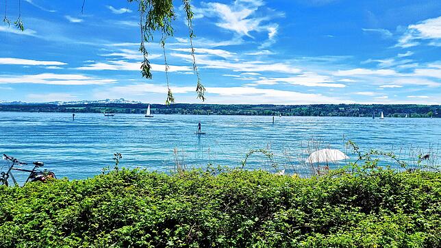 Auf dem Weg zum Hörnle: Idylle pur in Konstanz.