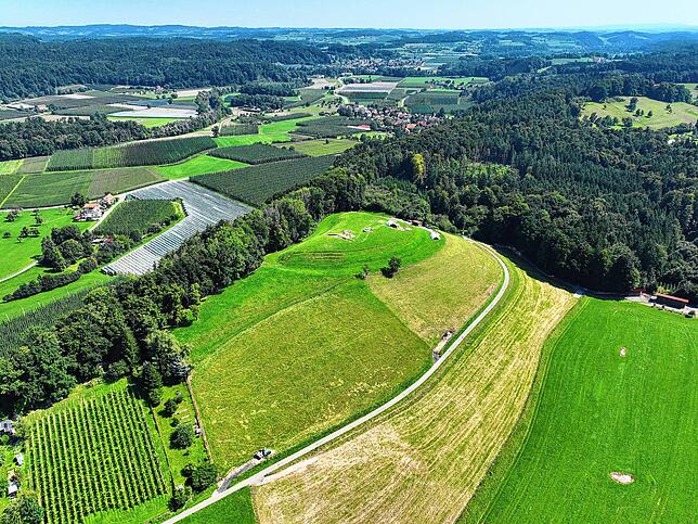 Übersicht über die Lenensburg mit Blick nach Nordosten Richtung Argen- und Schussental.