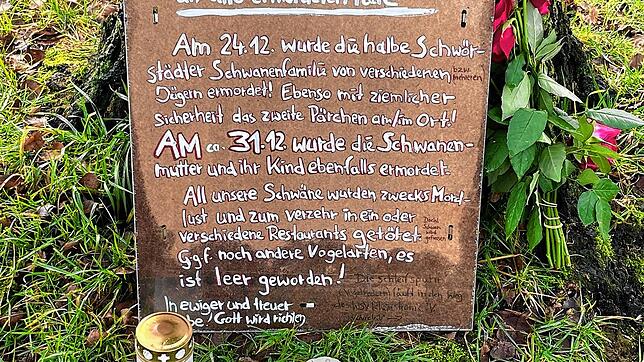Mit einer Tafel erinnern Tierschützer an den Tod der Schwörstädter Schwanenfamilie.