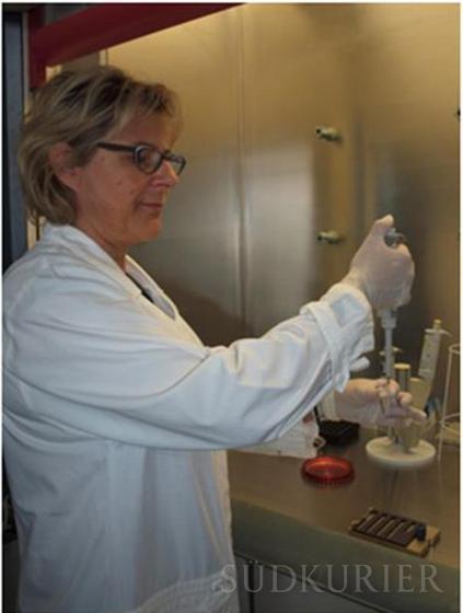 Bei einer Probenentnahme: Elke Dihrik, eine biologisch-technische Assistentin.