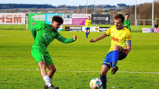 Bild : Unsere Bildergalerie zum Landesliga-Duell zwischen der SpVgg F.A.L. und der DJK Donaueschingen