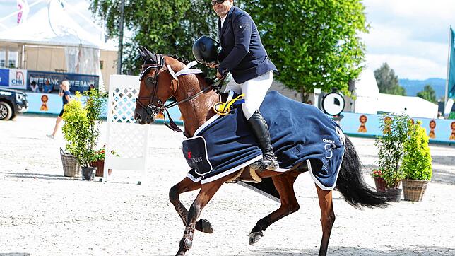 Bild : Reitsport pur beim Fest der Pferde am Freitag