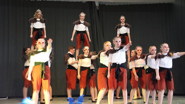 Die Hoppla-Hopp-Tanzgruppe aus Sauldorf zeigte beim Kinderball in der Hohenfelshalle in Liggersdorf ihr ganzes Können. Die 19 ...