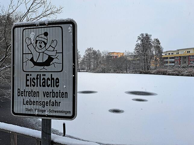 Auf dem Eisweiher hat sich eine dünne Eisschicht gebildet.