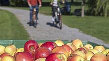 Die fünfte Tour der neuen SÜDKURIER Radfahr-Serie mit dem E-Bike durch den Thurgau startet in Kreuzlingen. Vorbei an der Kapelle St. ...