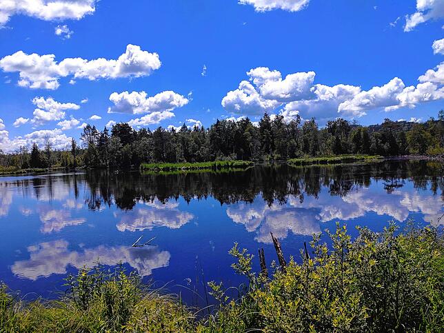 Wolken spiegeln sich im Moorsee im Pfrungener Ried.