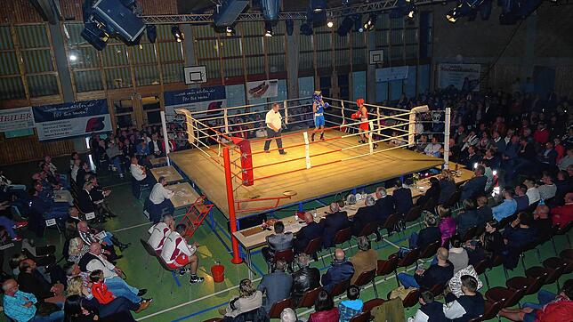 In der Alfons-Schmidmeister-Halle in Wittenhofen herrscht eine Atmosphäre, wie man sie sonst nur aus dem Fernsehen kennt: Eine Show mit ...