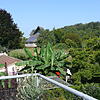 Blick vom Balkon eines Hauses im Alten Bannweg auf das Grundstück, das bebaut werden soll