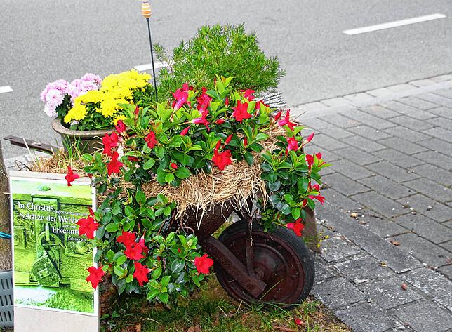 Bild 13: Versteckte grüne Ecken, bunte Lampions und Panoramablick: Wo sich Friedrichshafen von seiner schönsten Seite zeigt
