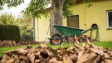 Ruhe vor dem Sturm: Bevor die stürmische Jahreszeit beginnt, sollten die Bäume auf dem Grundstück gründlich in Augenschein genommen werden.