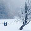 Mit Schnee und Frost bedeckte Bäume Menschen gehen im Nebel an einem windschiefen Baum auf dem Schauinsland vorbei. Schneefall lockt ...