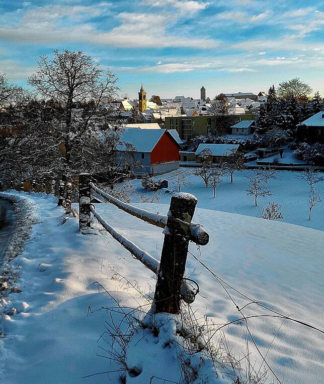 Blick auf die Stadt vom Buchenwasen oberhalb des Schallerbuckels.