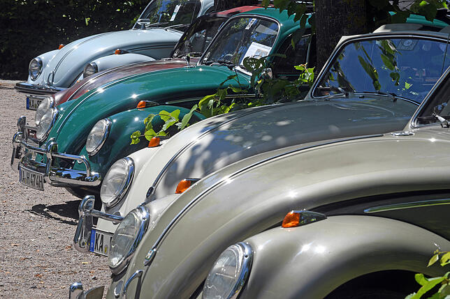 Verschiedene historische VW-Käfer.