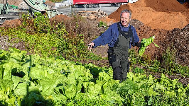 Eigentlich ist Detlef Pfundstein kein Gemüsegärtner, sondern Garten- und Landschaftsbauer. Auf dem Betriebsgelände der Gartengestaltung ...