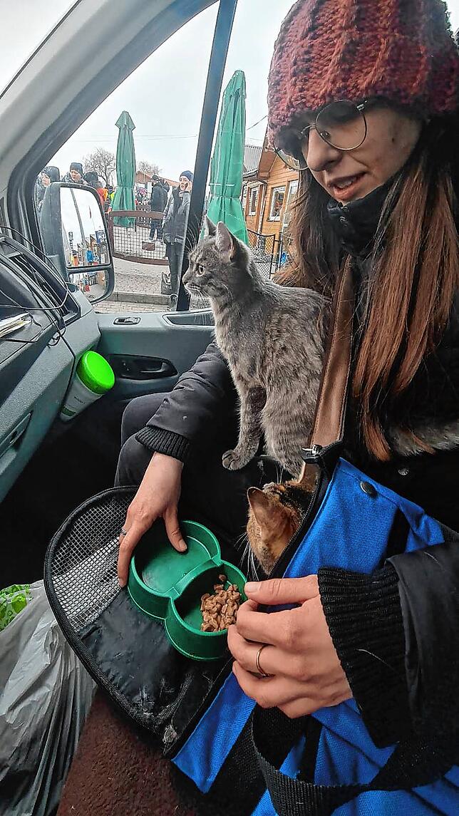 Weg, nur weg: Eine Frau bringt Katzen zur polnischen Grenze.