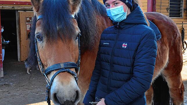 Therapiepferd Hanno ist wieder zurück auf der Reitanlage Köhl, hier führt ihn Therapie-Assistentin Natalie Zweifel.