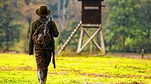Wer Wald besitzt, muss ihn in der Regel für die Jagd zur Verfügung stellen (Symbolfoto). Nur in Ausnahmefällen können Eigentümer die ...