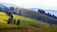Der Schwarzwald ist eine Kulturlandschaft. Die Vermarktung von Produkten aus dem Naturpark Südschwarzwald soll zum Erhalt der Wälder und ...