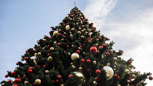 Christbaumkugeln hängen an einem Baum.