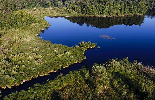 Die Morgensonne strahlt bei Fronreute die Vegetation des Häcklerweihers an. Der Häcklerweiher ist einer der Seen der Blitzenreuter ...