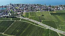 Stau auf der Bundesstraße 31 vor Hagnau. Die B 31 führt mitten durch die Weinberge. Wo genau eine neue Trasse gebaut wird, ist ...