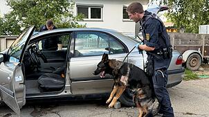 Ein Polizist durchsucht ein Fahrzeug mit einem Hund.