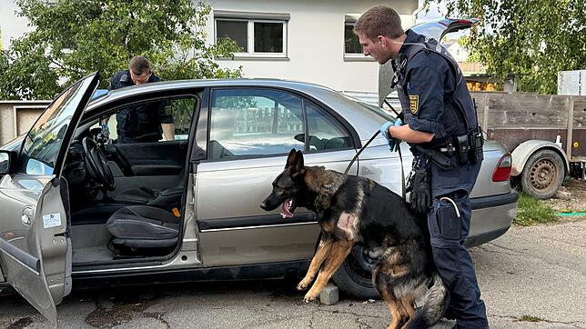 Ein Polizist durchsucht ein Fahrzeug mit einem Hund.