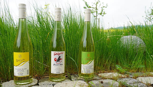 Die drei Resistenten (von links): der Calardis Blanc, der „Graue Star“ und der Johanniter.