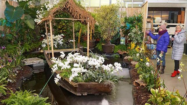 Ein kleines Orchideenparadies mit viel Wasser und zusätzlich eine Auswahl grüner Pflanzen kann man dieser Tage wieder im Gartencenter ...