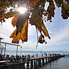 Goldener Oktober am Bodensee: Während Ausflügler in Kressbronn den Sonnenschein am Landungssteg genießen, diskutieren Touristiker in ...