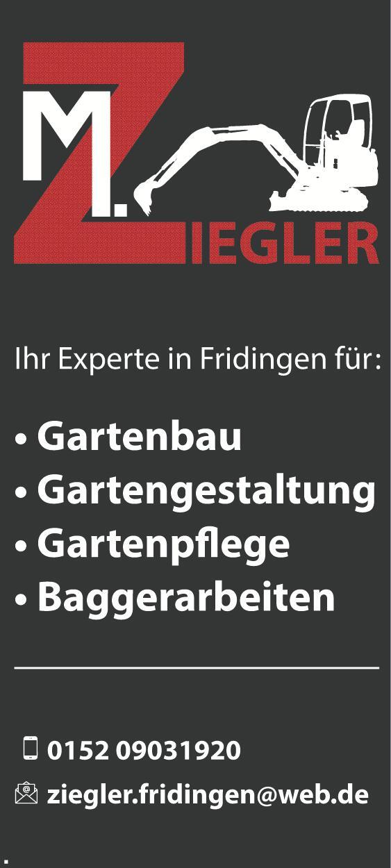Bild 4: Alba Infosonntag: Alba präsentiert erweiterte Ausstellung