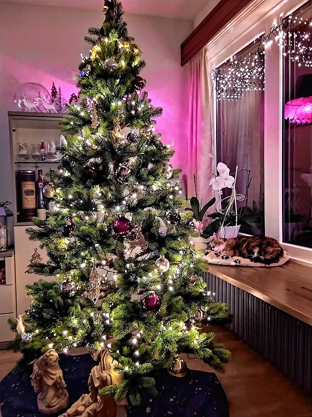 Der Baum von Barbara Spitznagel aus Klettgau.
