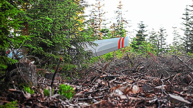 Das abgestürzte Flugzeug bei Schonach: Ein Spaziergänger entdeckt das Wrack, für den Piloten kommt jede Hilfe zu spät.