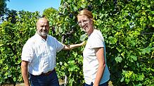 Generationenwechsel am Bodensee: Rebecca Röhrenbach bringt frische Ideen und moderne Vermarktung ins traditionsreiche Familienweingut in ...