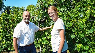 Generationenwechsel am Bodensee: Rebecca Röhrenbach bringt frische Ideen und moderne Vermarktung ins traditionsreiche Familienweingut in ...