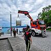 Bild :