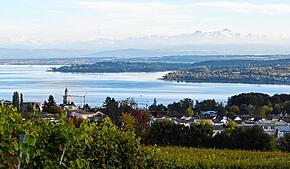 Das Panorama über Überlingen und den See vom Teilort Aufkirch aus. Die kühlere Luft im Herbst ermöglicht den Blick bis zu den Alpen und ...