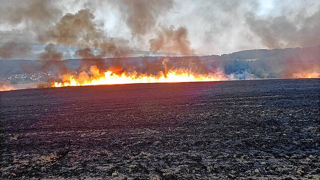 (Archivbild) Ein ungewohntes Szenario im Hegau, aber solche Bilder werden häufiger: Die Feuerwehren rechnen mit immer mehr ...